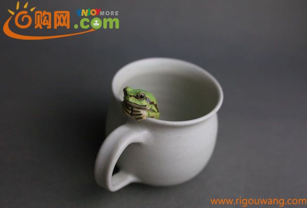 蛙　アマガエル縁乗りカップ　フリーカップ　コーヒーカップ　