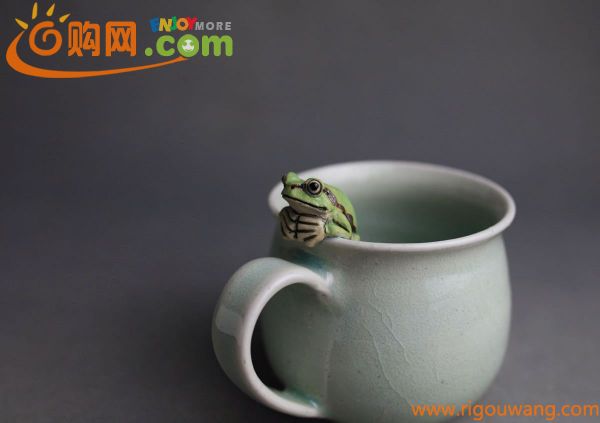 蛙　アマガエル　細工　水色釉　フリーカップ　コーヒーカップ　湯呑み　茶碗　煎茶器　　(九谷焼　備前焼　常滑焼　) 