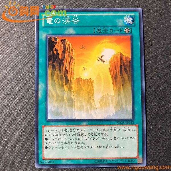 A011】竜の渓谷 ノーマル 遊戯王 デュエルモンスターズ TCG トレカ カード